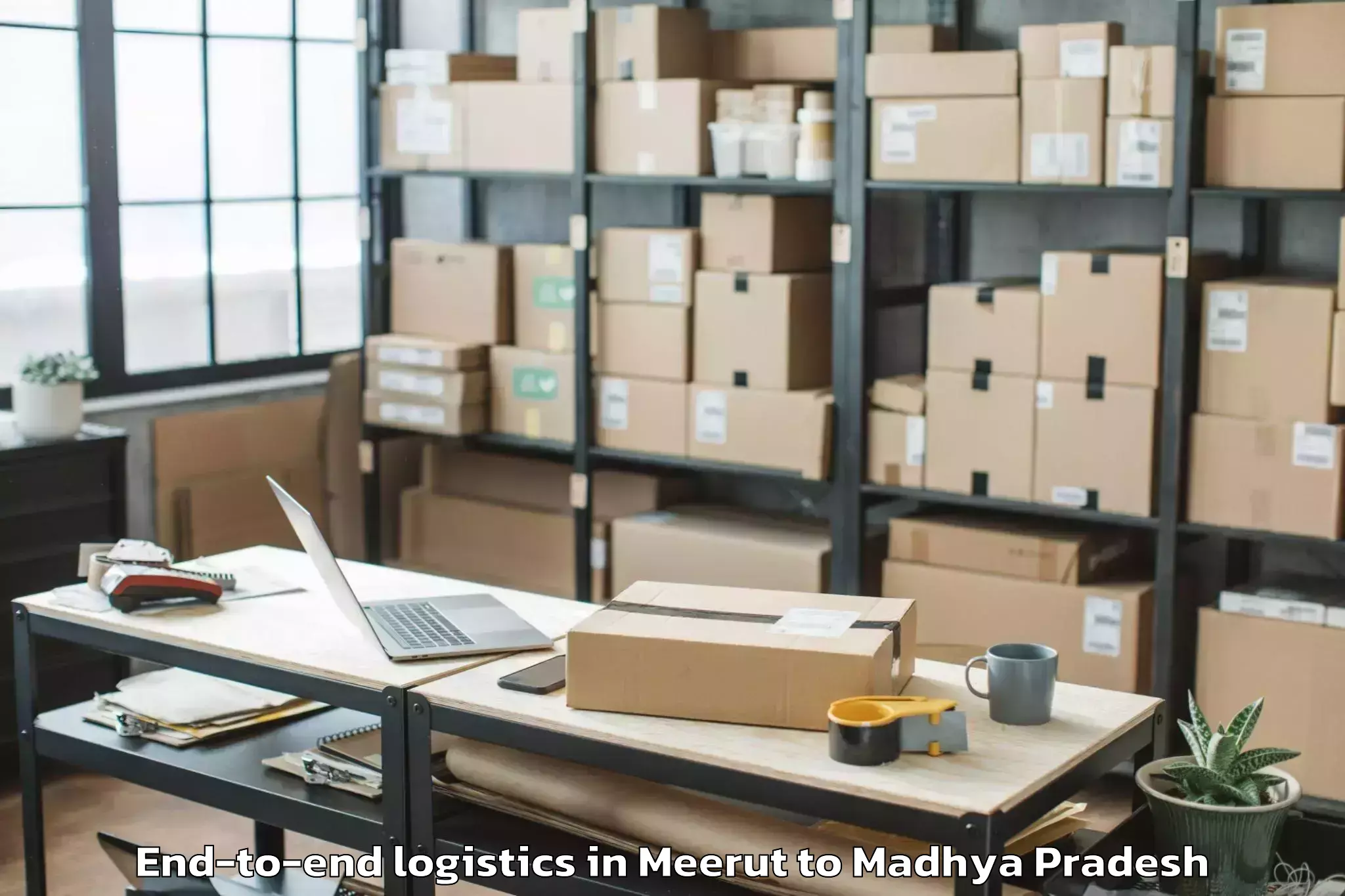 Professional Meerut to Nagod End To End Logistics